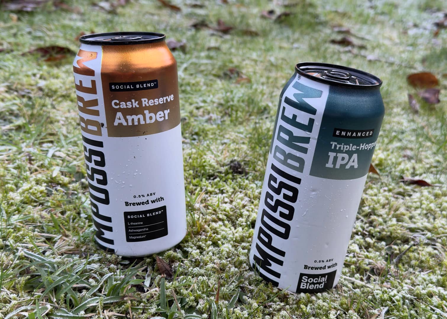 Impossibrew Review: Is This "Social Blend" The Holy Grail for the Sober? | Alfie B-Smith Life After Lager: Is Impossibrew The Holy Grail for the Sober?