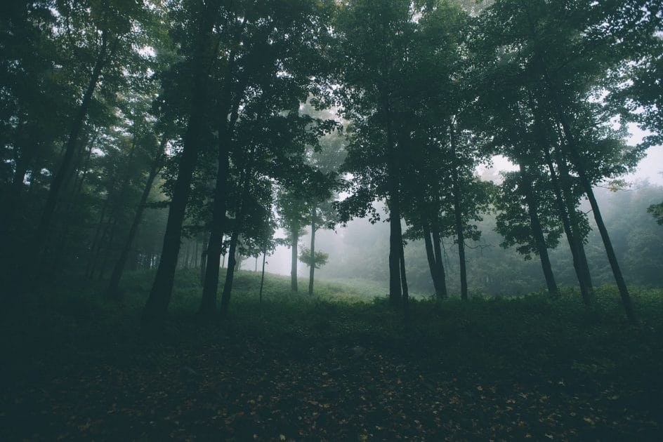 October Playlist: Soothing Indie & Winter Vibes (Monthly Selection) | Alfie B-Smith 10138138764 b6a930c0bb h 2 | Alfie B-Smith